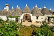 Masseria Trulli e Vigne